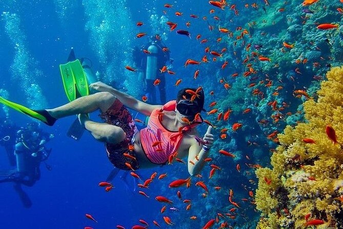 Mnemba Island Snorkeling Tour overview photo 1